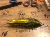 IMG_7643.jpeg