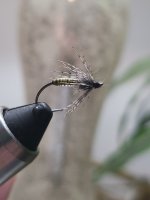 20240122_191238.jpg