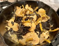 IMG_2623.jpeg