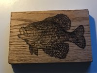 IMG_3568.jpeg