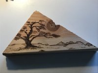 IMG_3570.jpeg