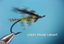 Green Drake Variant.jpg