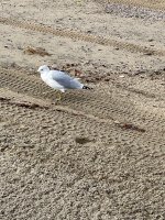 IMG_3464.jpg