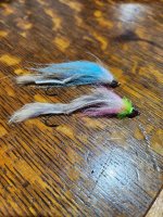 20240125_160420.jpg