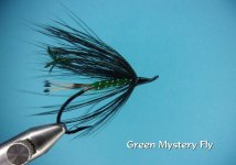Green Mystery Fly.jpg