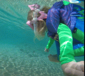 Capture.GIF