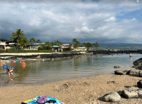 babybeach.GIF
