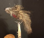 IMG_7673.jpeg