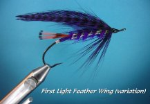 First Light Feater Wing Variant.jpg First Light Feater Wing Variant.jpg
