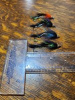 20240130_083832.jpg