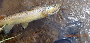 IMG_0261.jpeg