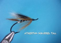 Atherton Squirrel Tail.jpg Atherton Squirrel Tail.jpg