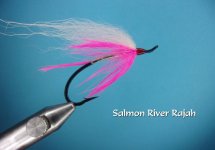 Salmon River Rajah.jpg Salmon River Rajah.jpg