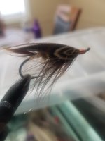 20240130_144820.jpg