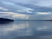 89F930E1-6CAE-49EA-9438-2291E2A0BDE5.jpeg