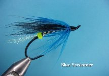 Blue Screamer.jpg