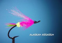 Alaskan Assassin.jpg