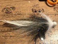 IMG_7757.jpeg