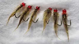 20240203_120504.jpg