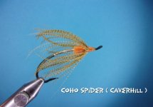Coho Spider.jpg