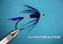 Coulton's Purple Spider.jpg