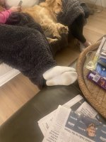 IMG_3805.jpeg IMG_3805.jpeg