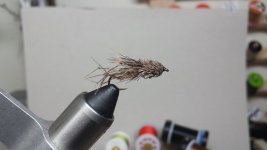 20150913_012627.jpg