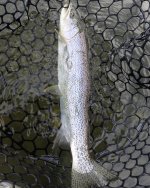 IMG_6403.jpeg