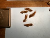 IMG_2973.jpeg