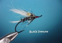 Black Domino.jpg