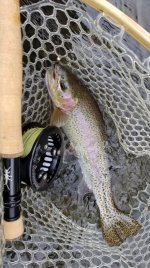 20240206_gear.jpg 20240206_gear.jpg