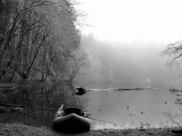 7FF04D03-8C6A-418C-AC8E-7D1A1AA52A8D.jpeg 7FF04D03-8C6A-418C-AC8E-7D1A1AA52A8D.jpeg