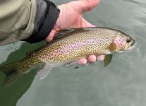 IMG_3368.jpeg