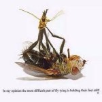 IMG_4450.jpeg