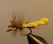 extended body hopper.jpg extended body hopper.jpg
