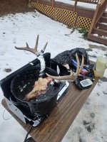 20231216_103226.jpg 20231216_103226.jpg