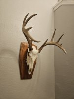 20240102_201253.jpg 20240102_201253.jpg