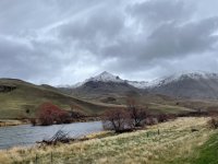 IMG_1822.jpeg