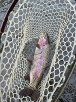 IMG_1848.jpeg