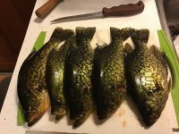 IMG_3643.jpeg IMG_3643.jpeg