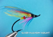 Silver Wilkinson Hairwing.jpg