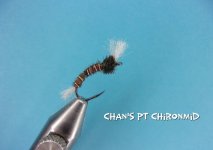 Chan's PT Chironmid.jpg