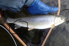 IMG_6418.jpeg