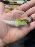 IMG_4750.jpeg