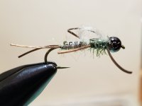 20240208_171741.jpg 20240208_171741.jpg