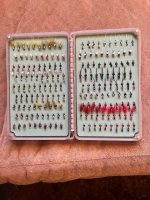 Chiro box (1).jpg