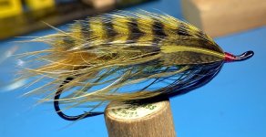 IMG_4766.jpeg