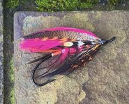 IMG_4753.jpeg