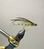 IMG_2970.jpeg