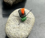 IMG_3446.jpeg